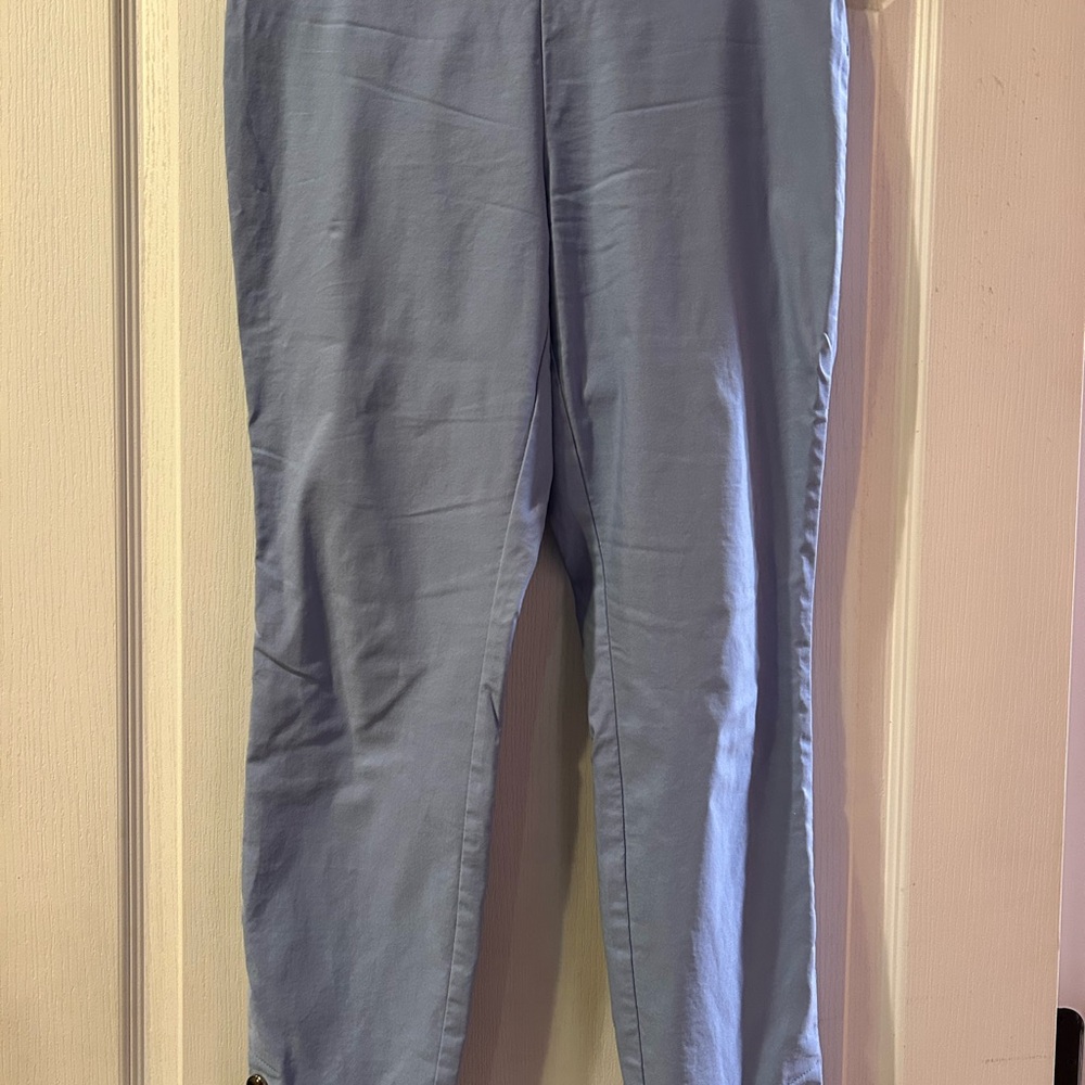Counterparts Light Blue Cropped Skinny Pants